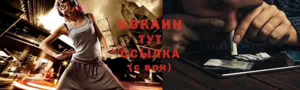 ПСИЛОЦИБИНОВЫЕ ГРИБЫ Волосово