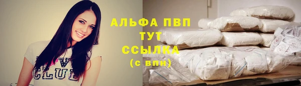 ПСИЛОЦИБИНОВЫЕ ГРИБЫ Волоколамск