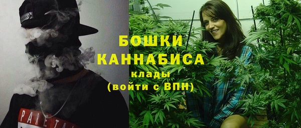 ПСИЛОЦИБИНОВЫЕ ГРИБЫ Волосово