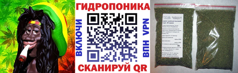 Купить где  Лысково  Бошки Шишки планчик 